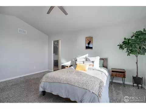 894 Emerald Lakes St, Windsor, CO 80550 photo 19
