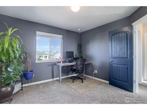 894 Emerald Lakes St, Windsor, CO 80550 photo 24