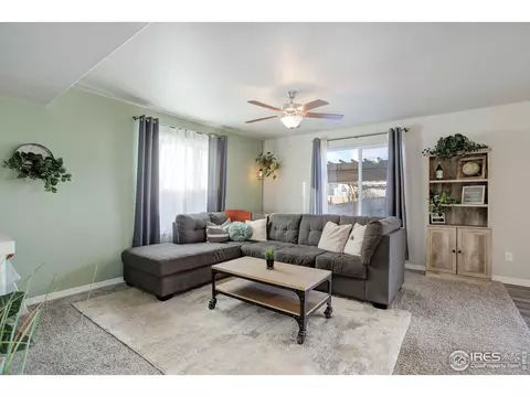894 Emerald Lakes St, Windsor, CO 80550 photo 5