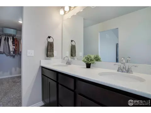 894 Emerald Lakes St, Windsor, CO 80550 photo 21