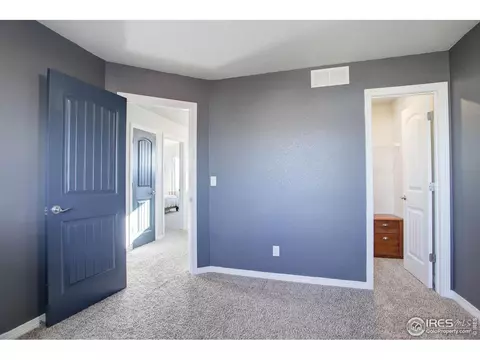 894 Emerald Lakes St, Windsor, CO 80550 photo 26