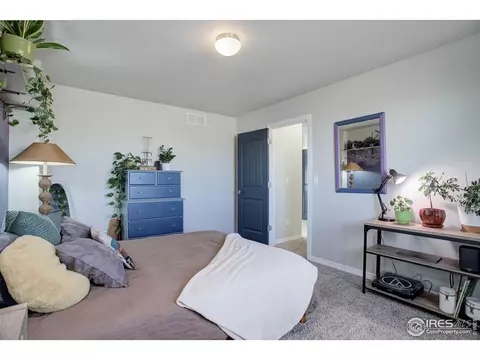 894 Emerald Lakes St, Windsor, CO 80550 photo 30