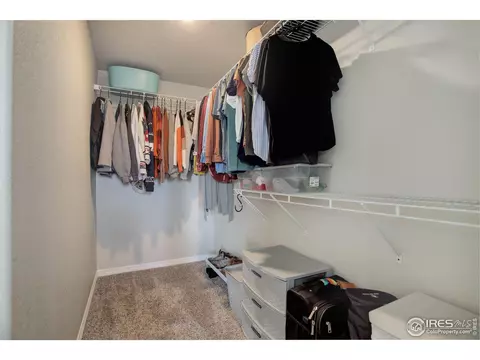 894 Emerald Lakes St, Windsor, CO 80550 photo 23