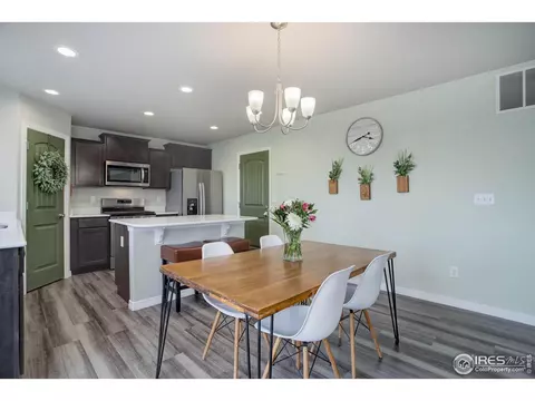 894 Emerald Lakes St, Windsor, CO 80550 photo 9