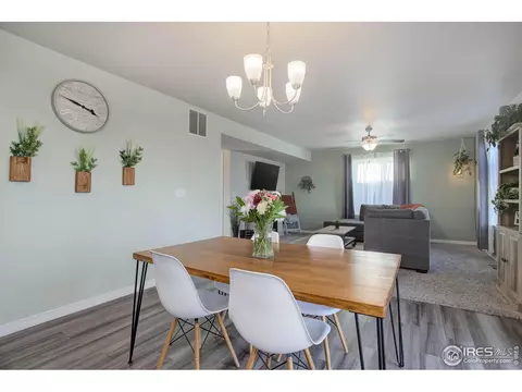 894 Emerald Lakes St, Windsor, CO 80550 photo 10