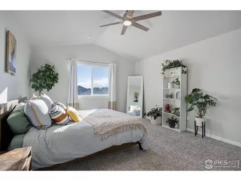 894 Emerald Lakes St, Windsor, CO 80550 photo 18