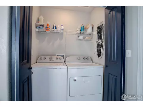 894 Emerald Lakes St, Windsor, CO 80550 photo 31