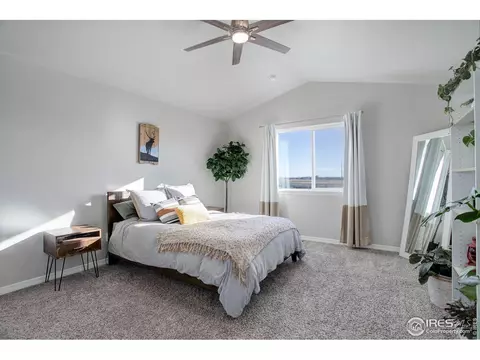 894 Emerald Lakes St, Windsor, CO 80550 photo 17