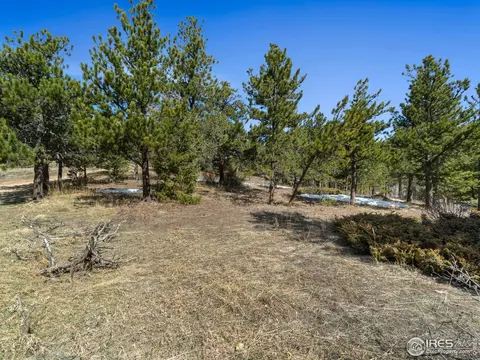 61 Rim Rd, Boulder, CO 80302 photo 33