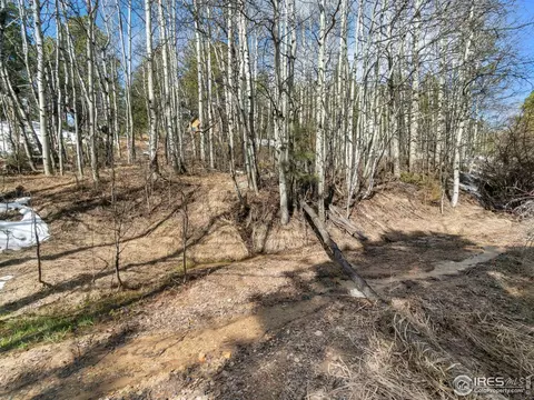 61 Rim Rd, Boulder, CO 80302 photo 21