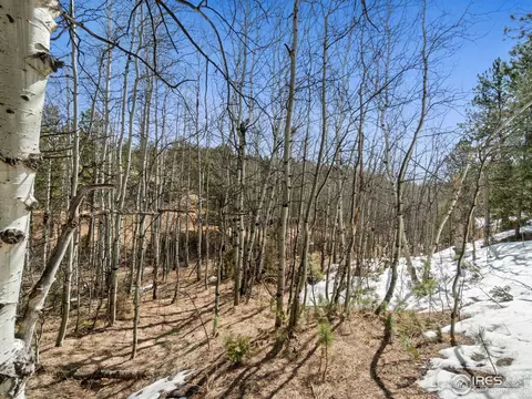 61 Rim Rd, Boulder, CO 80302 photo 23