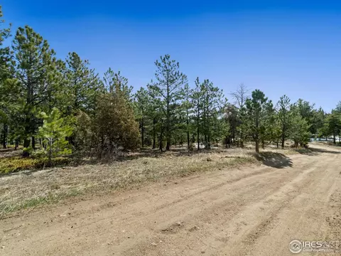 61 Rim Rd, Boulder, CO 80302 photo 17