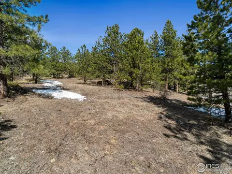 61 Rim Rd, Boulder, CO 80302 photo 28