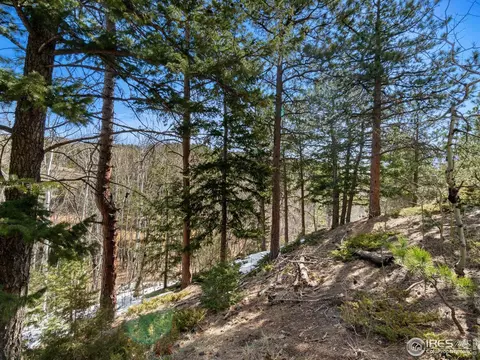 61 Rim Rd, Boulder, CO 80302 photo 22
