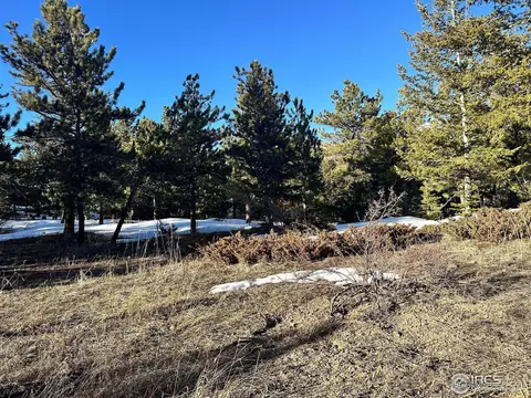 61 Rim Rd, Boulder, CO 80302 photo 12