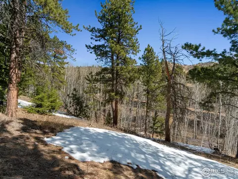 61 Rim Rd, Boulder, CO 80302 photo 30