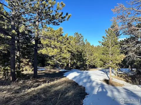 61 Rim Rd, Boulder, CO 80302 photo 7