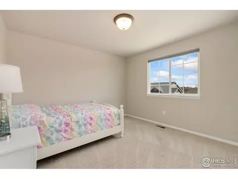 237 Mt Harvard Ave, Severance, CO 80550 photo 29