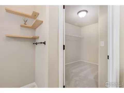 237 Mt Harvard Ave, Severance, CO 80550 photo 26