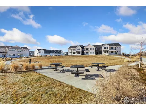 2110 Setting Sun Dr #4, Windsor, CO 80550 photo 25