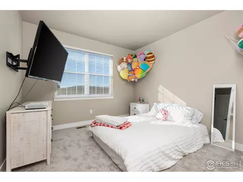1416 Coues Deer Dr, Severance, CO 80550 photo 25