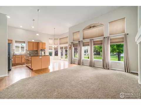 457 Harbor Ct, Windsor, CO 80550 photo 6