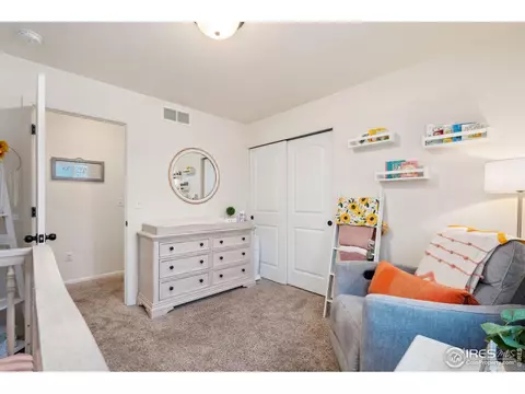 708 Cavern St, Severance, CO 80550 photo 31