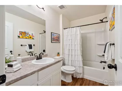 708 Cavern St, Severance, CO 80550 photo 36