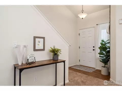 708 Cavern St, Severance, CO 80550 photo 4