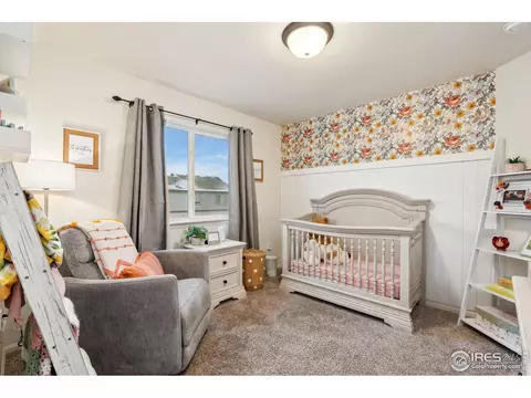 708 Cavern St, Severance, CO 80550 photo 30