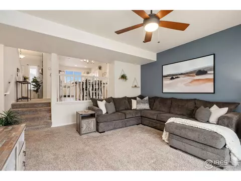 708 Cavern St, Severance, CO 80550 photo 17