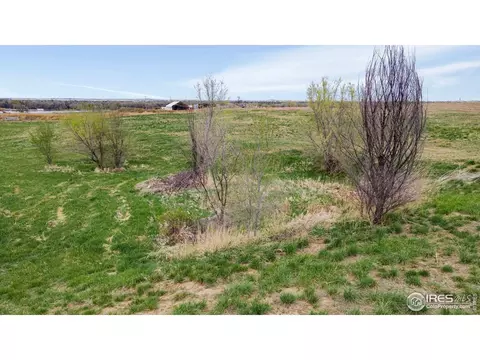 1660 Merlin Ln, Windsor, CO 80550 photo 10