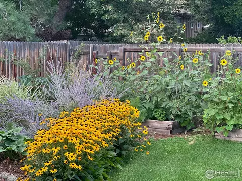 4869 Kellogg Cir, Boulder, CO 80303 photo 36