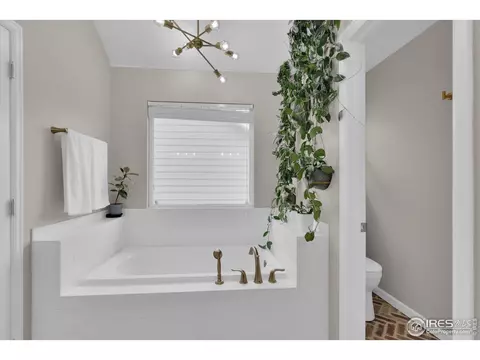 10289 Cherryvale St, Longmont, CO 80504 photo 14