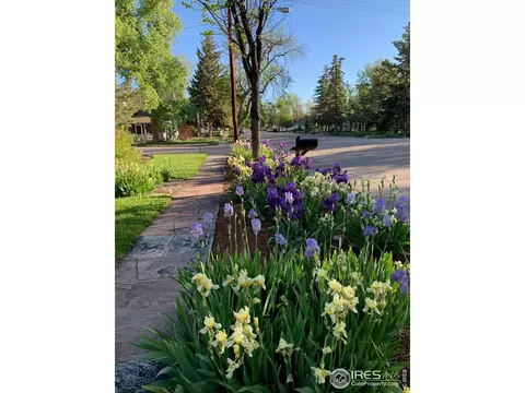749 N 4th St, Berthoud, CO 80513 photo 39