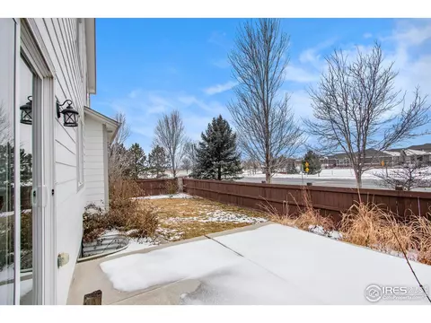 5989 Sand Cherry Ln, Timnath, CO 80547 photo 36