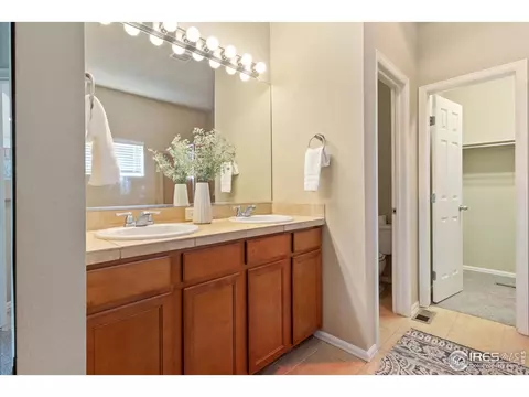 5989 Sand Cherry Ln, Timnath, CO 80547 photo 17