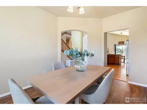 5989 Sand Cherry Ln, Timnath, CO 80547 photo 10