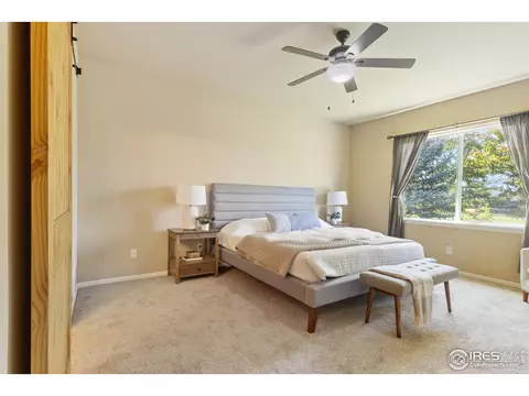5989 Sand Cherry Ln, Timnath, CO 80547 photo 14