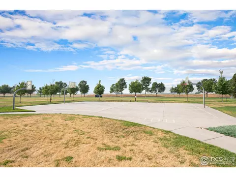 5989 Sand Cherry Ln, Timnath, CO 80547 photo 33