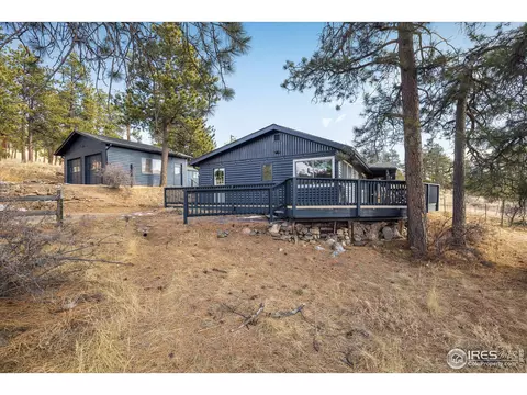 1279 County Road 72, Bailey, CO 80421 photo 24