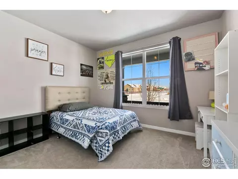 2148 Orchard Bloom Dr, Windsor, CO 80550 photo 19
