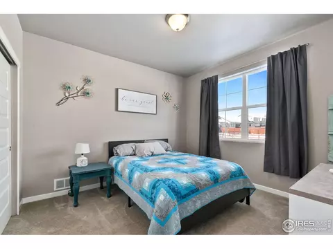 2148 Orchard Bloom Dr, Windsor, CO 80550 photo 20