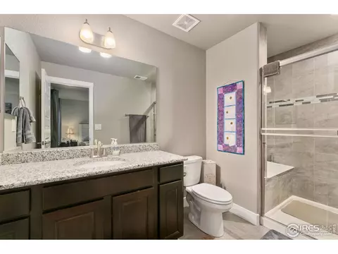 2148 Orchard Bloom Dr, Windsor, CO 80550 photo 30