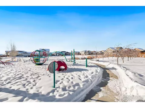 2148 Orchard Bloom Dr, Windsor, CO 80550 photo 38