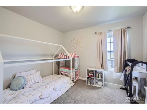 2163 Day Spring Dr, Windsor, CO 80550 photo 19