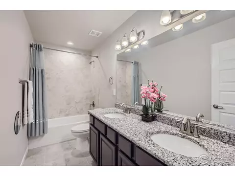 2163 Day Spring Dr, Windsor, CO 80550 photo 20