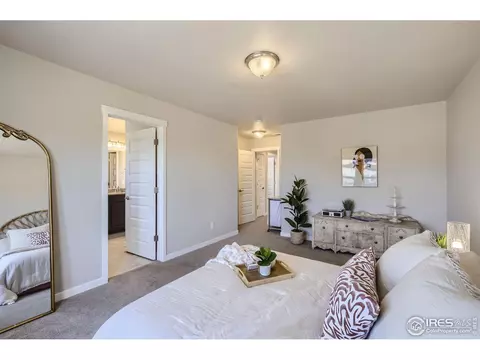2163 Day Spring Dr, Windsor, CO 80550 photo 13
