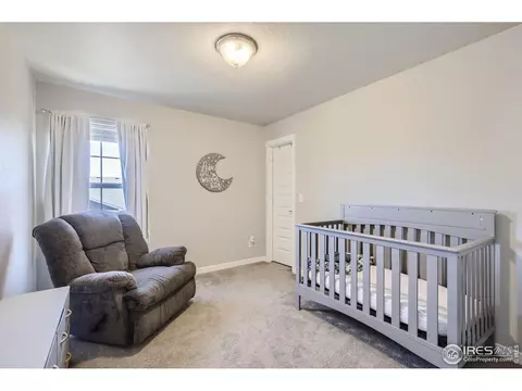 2163 Day Spring Dr, Windsor, CO 80550 photo 17