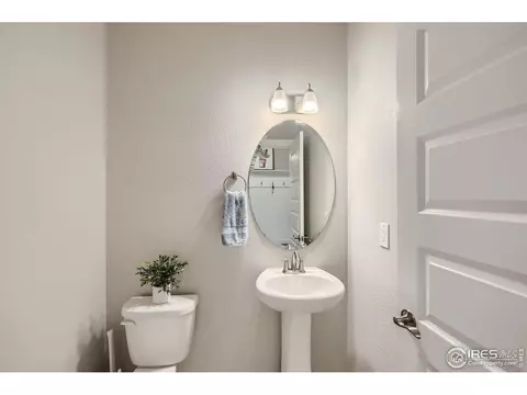 2163 Day Spring Dr, Windsor, CO 80550 photo 24